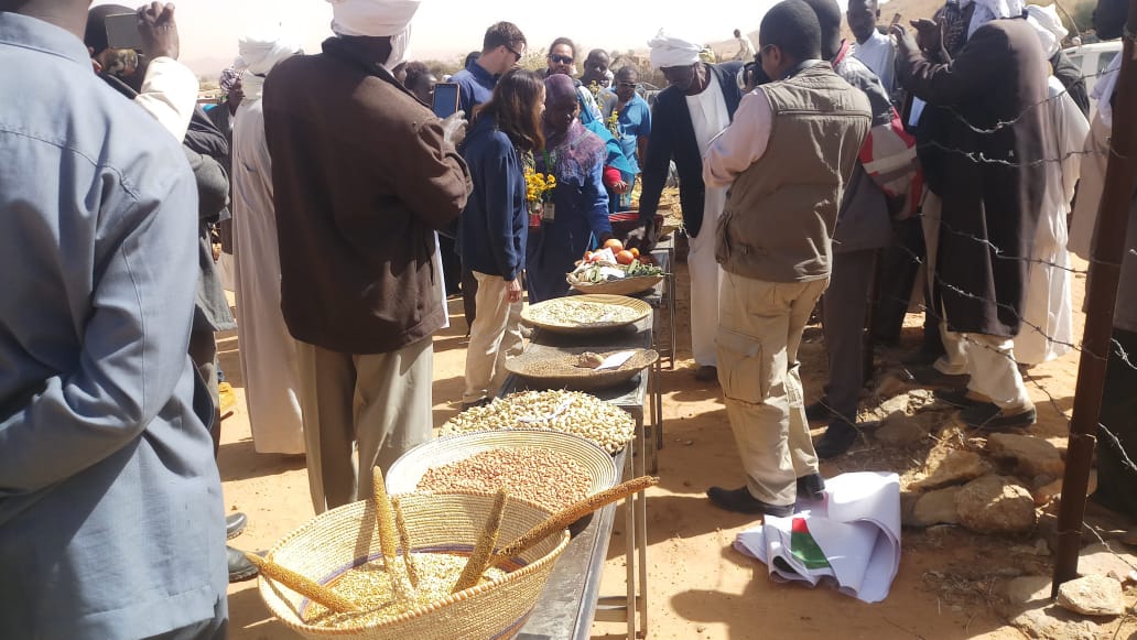 EU Ambassadors Visit North Darfur to Monitor Internationally Funded Peace and Stability Projects