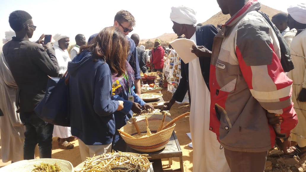 EU Ambassadors Visit North Darfur to Monitor Internationally Funded Peace and Stability Projects