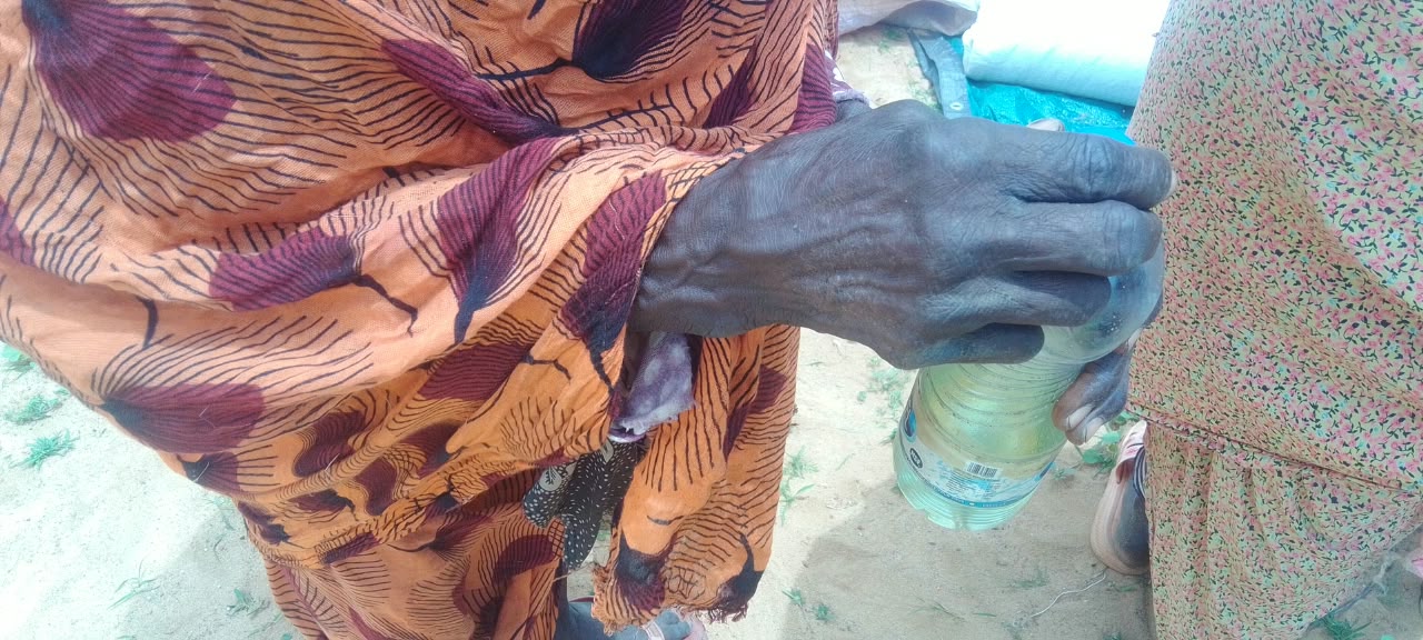Alrayan for Social Development Organization | Humanitarian Intervention in North Darfur