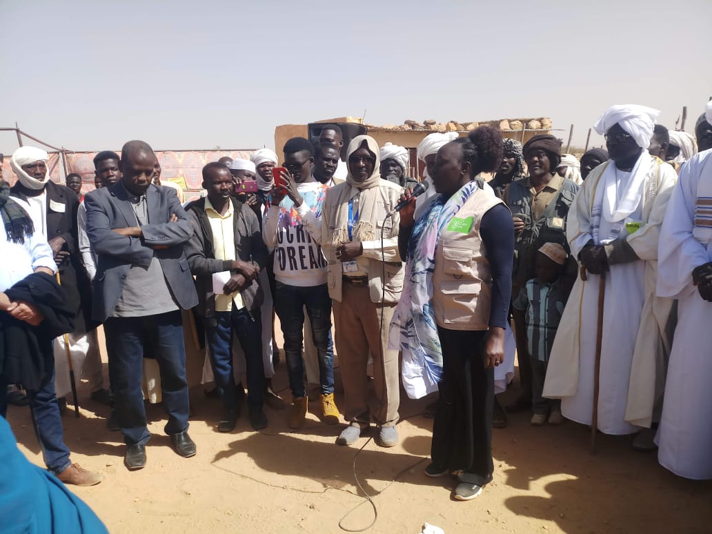 EU Ambassadors Visit North Darfur to Monitor Internationally Funded Peace and Stability Projects